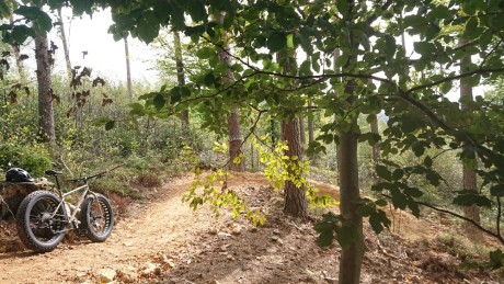 Surly Moonlander Flow Trails Palkovice