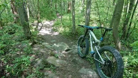 Foes Mutz trail 2022