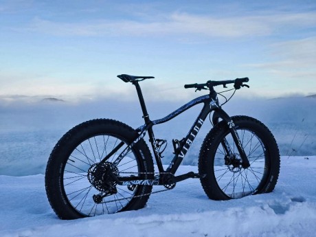 Giant Vision fatbike
