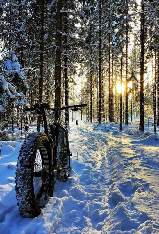 Fatbike winter 001