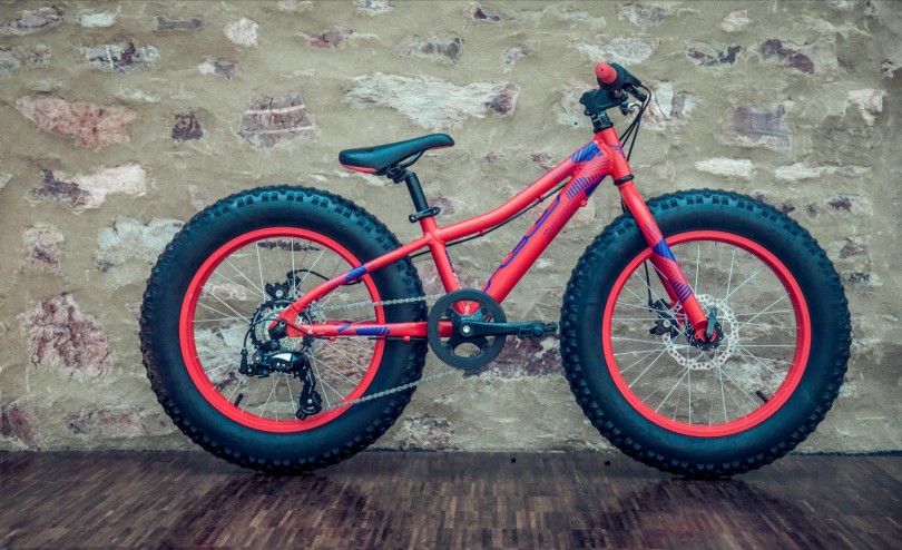 FELT Cruncher 20