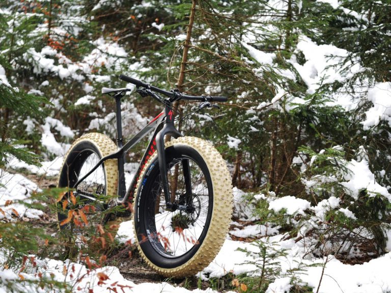 Specialized S-Works FatBoy 04