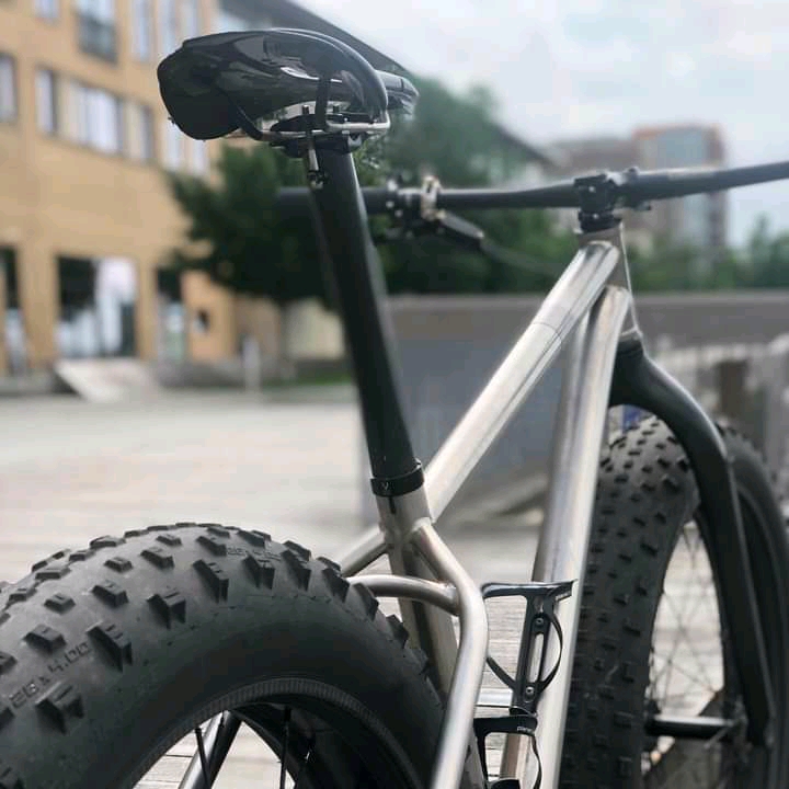 509 Cycles rear