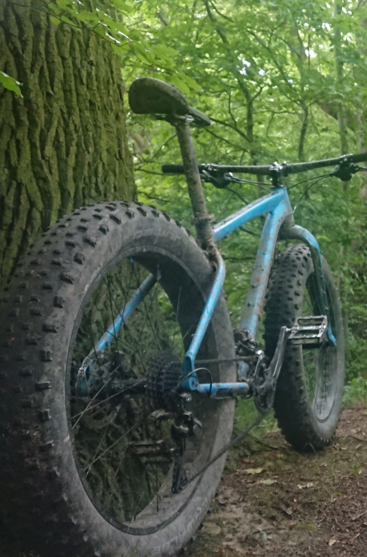 Podzim 2019 Felt DD30