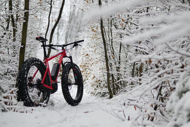 Mondraker-e-Panzer-R-2018-Test-Winter-768x514