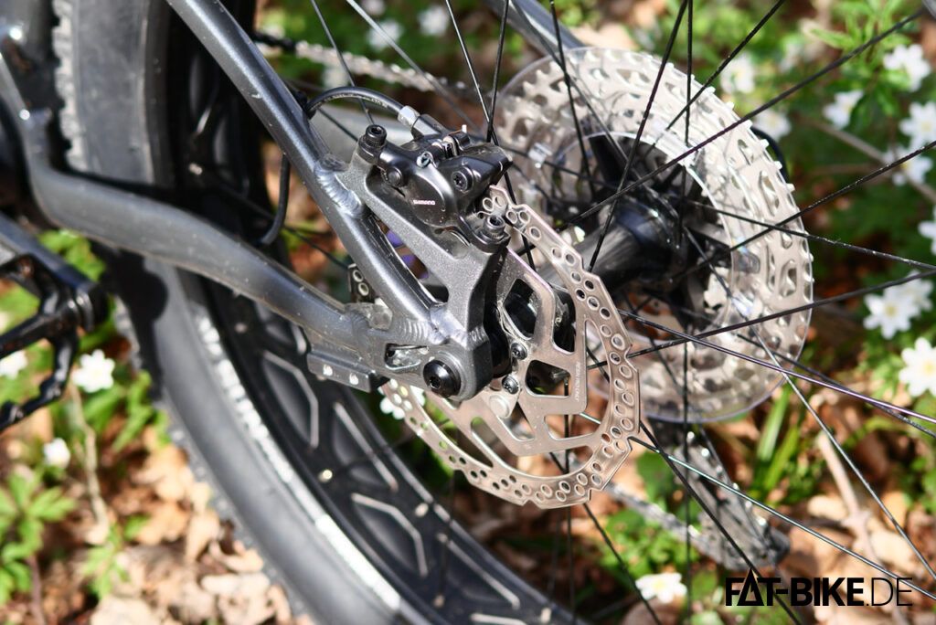 Silverback S-electro Fat Sport 2022 08