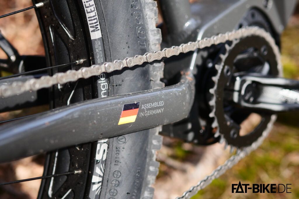 Silverback S-electro Fat Sport 2022 06