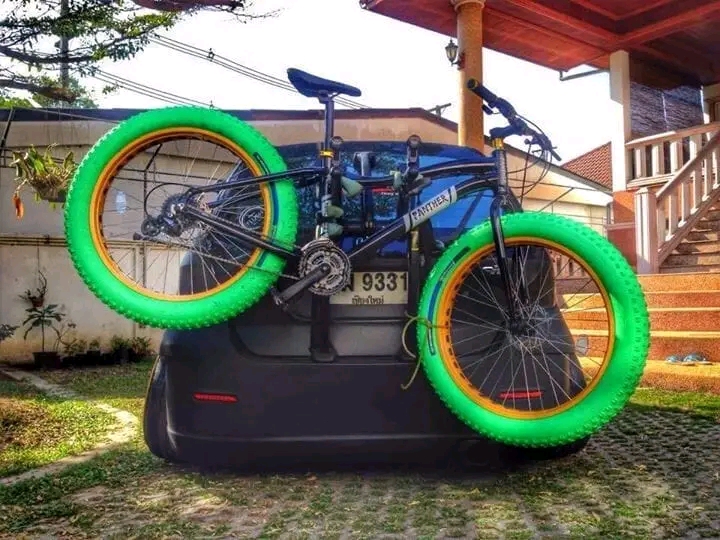 Fatbike Transport green