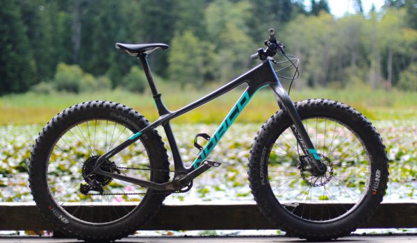 Norco Ithaqua carbon