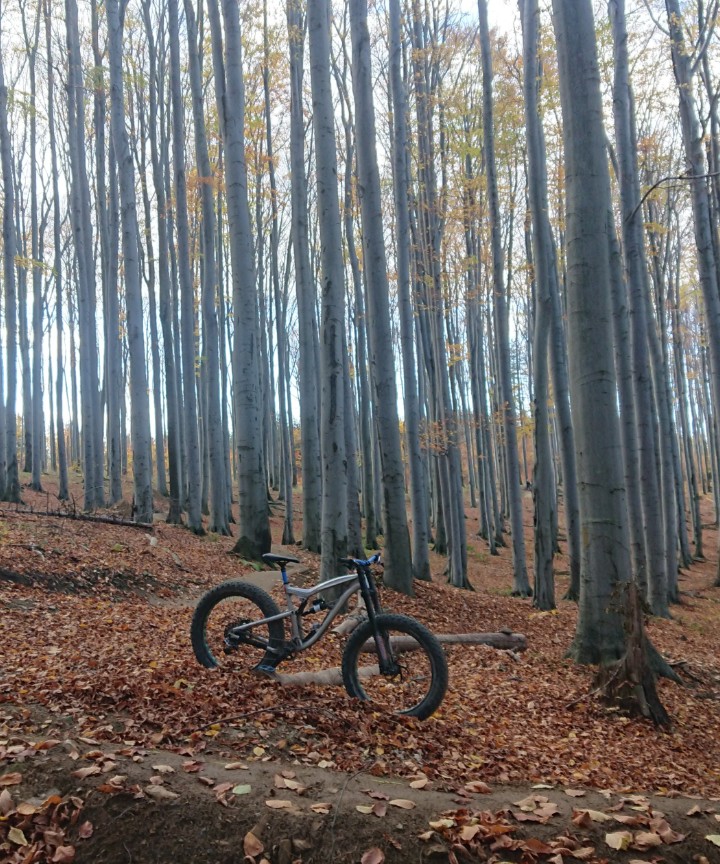 Fatbike Czech podzim 2022 Foes Mutz 