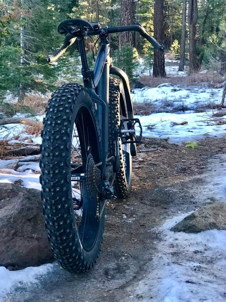 Fatback Corvus FLT rear
