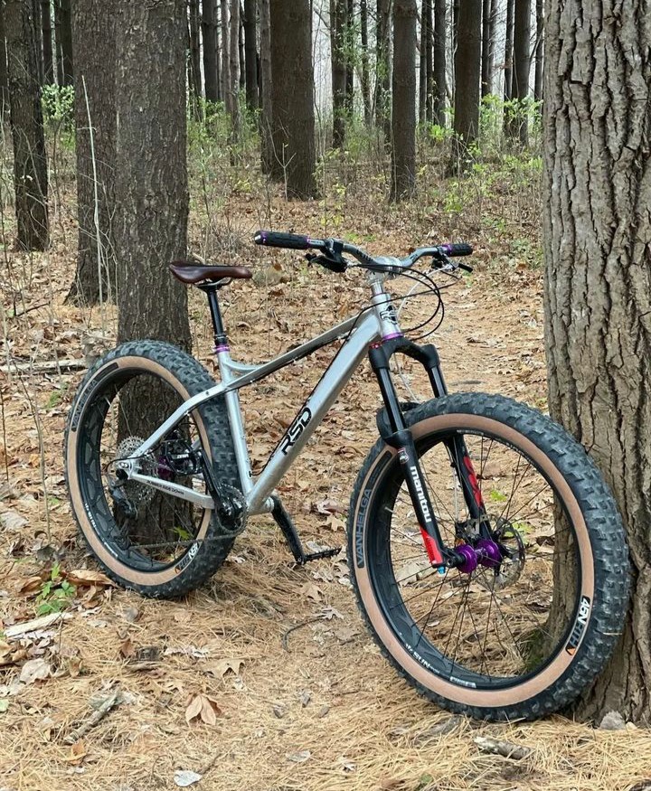 RSD bikes Manitou Mastodon