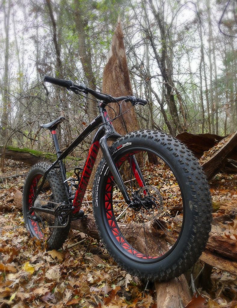 Specialized fatboy expert