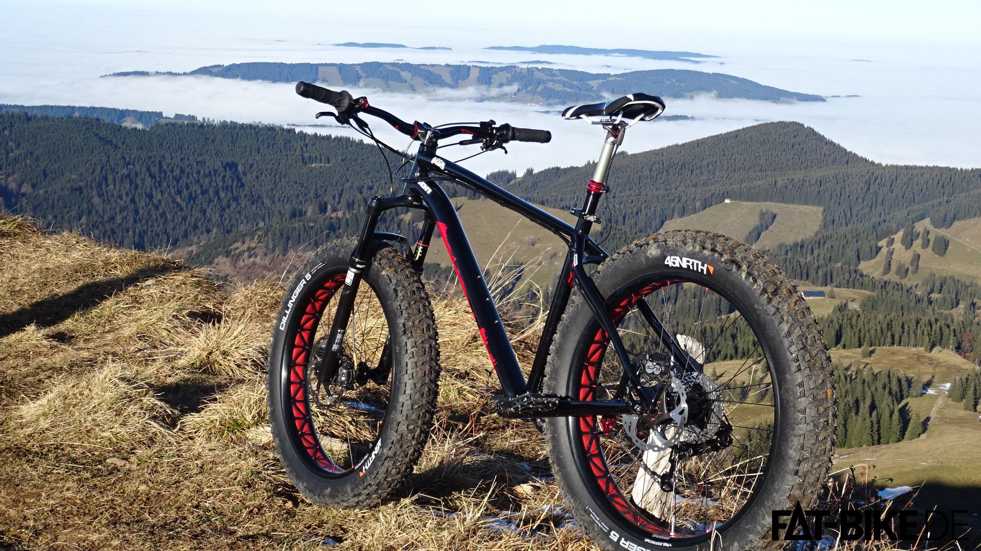 Specialized-FatBoy-Bluto