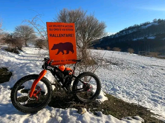 Fatbike bear