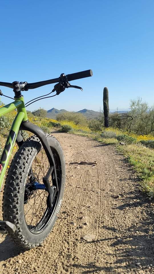 Lauf suspension fatbike 