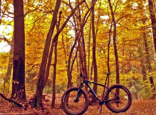 fatbike podzim 006